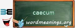 WordMeaning blackboard for caecum